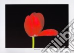 Red Tulips, 2000 poster di MINA SELIS