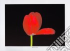 Red Tulips, 2000 poster