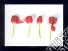 Tulips, 2000 poster