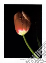 Red Tulip, 2000 poster di MINA SELIS