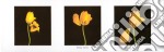 Yellow Tulips poster di MINA SELIS