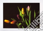 Tulips composition IV, 2000 poster di MINA SELIS