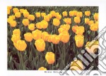Field of Yellow Tulips, 2000 poster di MINA SELIS