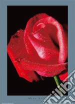 Red Rose poster di MINA SELIS