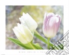 Tulips poster