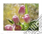 Pink Tulips poster di Mina Selis
