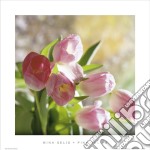 Pink tulips poster di Mina Selis