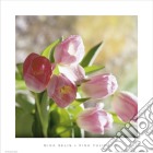 Pink tulips poster