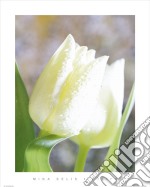 Tulips poster di Mina Selis