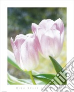 Tulips poster di Mina Selis