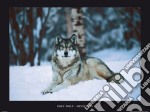 Grey Wolf, Minnesota poster di NATIONAL GEOGRAPHIC