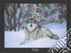Grey Wolf, Minnesota poster
