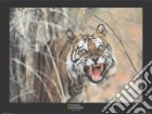 Tiger, Malaysia poster