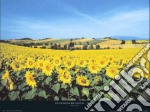 Sunflowers Field, Umbria poster di PHILIP ENTICKNAP