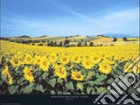 Sunflowers Field, Umbria poster