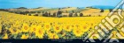 Sunflowers Field, Umbria poster