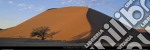 Dune 45 - Namibia poster di Paul Franklin