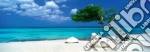 PPz1000 AvH Divi Divi Tree puzzle