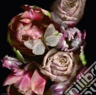 QPz1000 Weingarten Butterfly puzzle