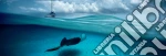PPz1000 AvH Stingray puzzle