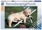 Cucciolo di Golden Retriever puzzle