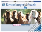 Puzzle 1000 pz - cavalli puzzle