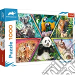 Animal Planet: Trefl - Puzzle 1000 - Animal Kingdom puzzle