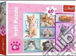 44 Cats: Trefl - Puzzle 60 - Cute Cats puzzle
