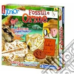 Focus junior. Fossili e orme art vari a