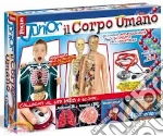 Focus Junior. Il corpo umano art vari a