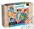 Lisciani: Montessori - Work-Box art vari a