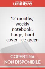 12 months, weekly notebook. Large, hard cover. ice green articolo cartoleria