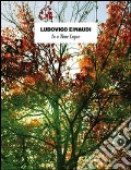 Ludovico Einaudi - in a Time Lapse art vari a