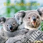 Baby animals art vari a
