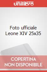 Foto ufficiale Leone XIV 25x35 art vari a