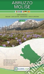 Abruzzo-Molise. Carta stradale della regione 1:250.000 art vari a