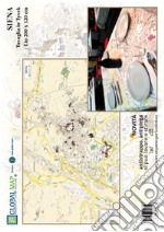 Siena (carta in Tyvek cm 200x120) articolo cartoleria