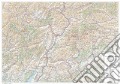Trentino Alto Adige-Südtirol. Carta stradale della regione 1:250.000 (carta murale plastificata stesa con aste cm 96x67) art vari a