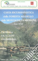Carta escursionistica della Foresta modello delle montagne fiorentine. Falterona, Val di Sieve, Vallombrosa 1:50.000 articolo cartoleria