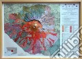 Carta geologica del Vesuvio. Scala 1:22.500 (carta in rilievo con cornice cm 91x69) art vari a