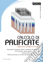 Calcolo di palificate. Software professional art vari a