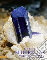 Minerali. Calendario 2021. Ediz. multilingue articolo cartoleria