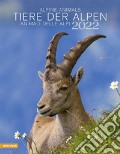Animali delle Alpi. Calendario 2022. Ediz. multilingue art vari a