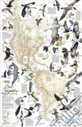 Migrazioni degli uccelli. Eurasia, Africa e Oceania. Carta murale art vari a