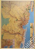 Genova con codici postali. Carta geografica stradale con aree codici postali (carta murale plastificata) art vari a