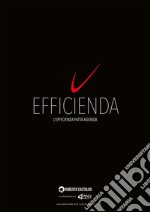 Efficienda. L'efficienza fatta agenda articolo cartoleria di Castaldo Roberto