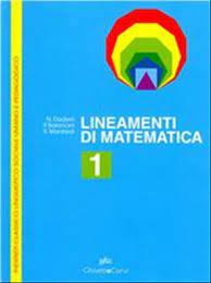 Lineamenti di matematica 1 libro usato