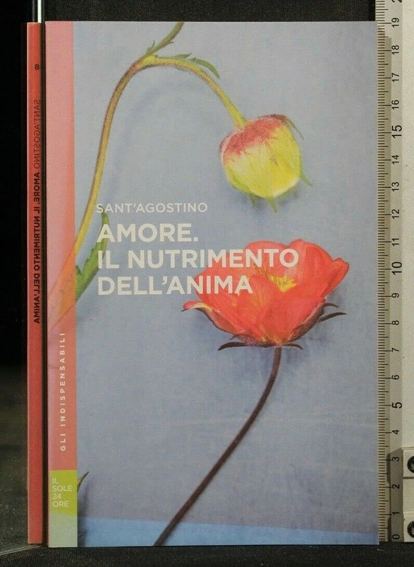 Amore. Il nutrimento dell`anima. Sant`Agostino libro usato