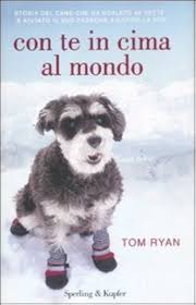 Con te in cima al mondo libro usato