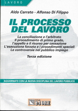 Il processo del lavoro. Conciliazione e arbitrato. Primo grado, appello e ricorso per Cassazione. Esecuzione forzata e procedimenti speciali... libro usato